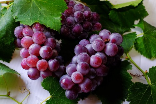 this-is-what-happens-to-your-body-if-you-eat-grapes-every-day-for-1